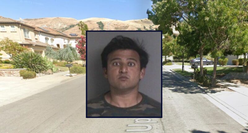 Man killed sex offender, said it was 'really fun': Cops