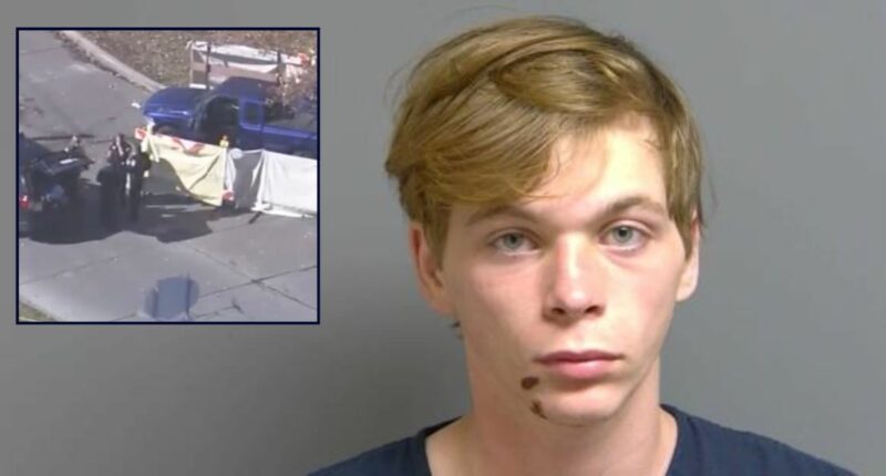 Man killed woman with shoelace, drove around with her body