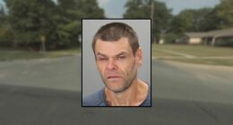 Man pistol-whipped girlfriend, 62, inside his vehicle: Cops