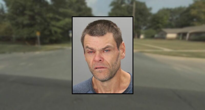 Man pistol-whipped girlfriend, 62, inside his vehicle: Cops