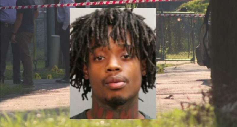 Man pleads guilty to 2024 attempted murder of 2 undercover JSO detectives