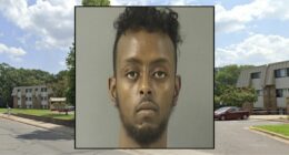 Man stabbed pregnant wife 34 times then called cops: Police
