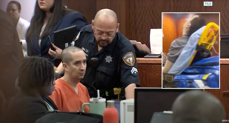 Man who murdered his wife dies suddenly in court: DA