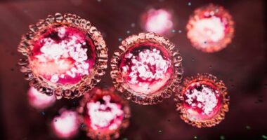 Measles morbillivirus structure - 3d rendered image. Abstract background.