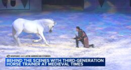 Medieval Times horse trainer Mario Contreras embraces roots of Guadalajara, Mexico in Schaumburg, Illinois