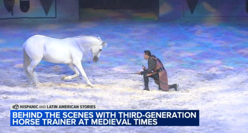 Medieval Times horse trainer Mario Contreras embraces roots of Guadalajara, Mexico in Schaumburg, Illinois