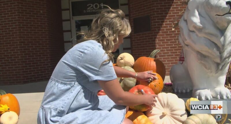 Meet Marshall's 'fairy godmother' behind new pumpkin decorating businesses