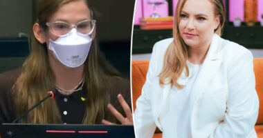 Meghan McCain blasts ‘nepo baby’ Violet Affleck’s ‘patently absurd’ call for mask mandate