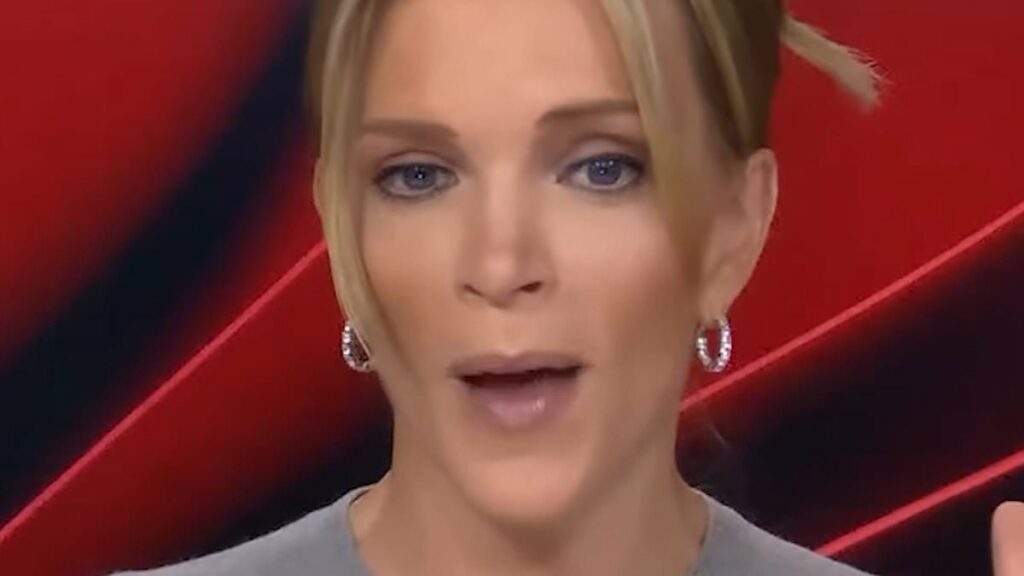 Megyn Kelly lobs f-bomb at 'dumb' Pam Bondi after gaffe-prone AG hinted at First Amendment crackdown