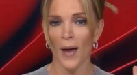 Megyn Kelly lobs f-bomb at 'dumb' Pam Bondi after gaffe-prone AG hinted at First Amendment crackdown
