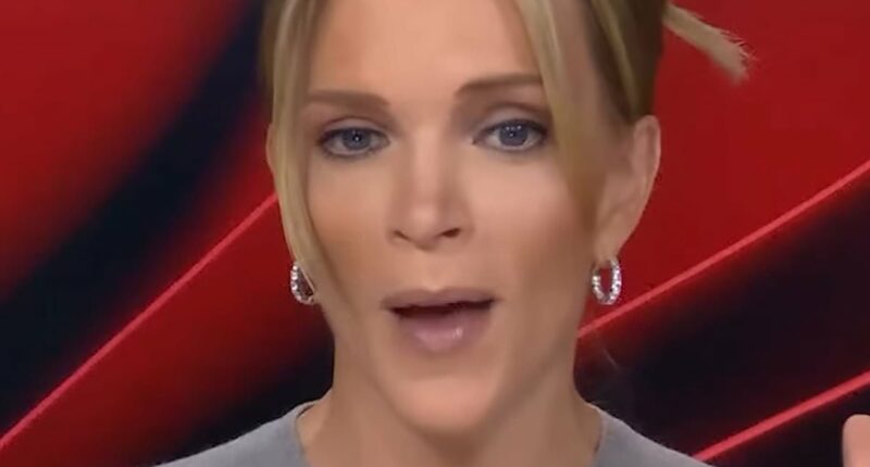 Megyn Kelly lobs f-bomb at 'dumb' Pam Bondi after gaffe-prone AG hinted at First Amendment crackdown