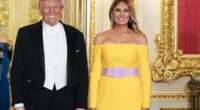 Melania Trump's State Banquet Gown Is Reminiscent of the Viral Dress; What Color Do You See?