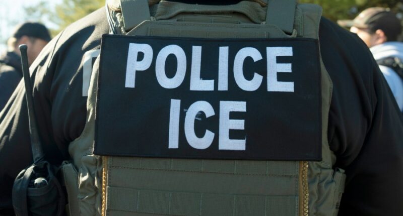Migrant decapitates Dallas motel boss in front of family: Police