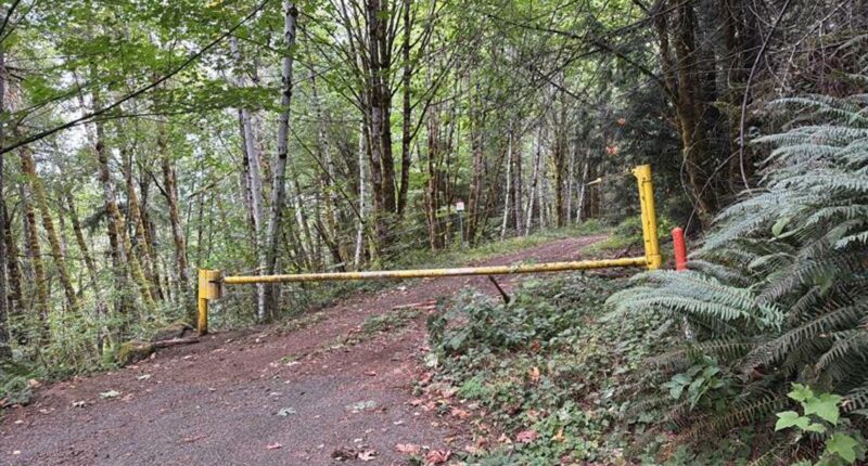 Military helicopter crashes near Summit Lake in Olympia