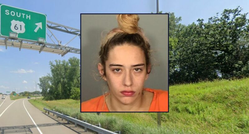 Mom allegedly drove drunk and killed 1-year-old
