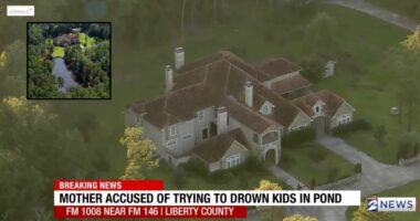 Mom allegedly tried to drown 3 kids after giving them NyQuil