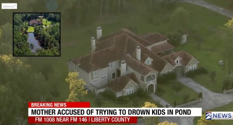 Mom allegedly tried to drown 3 kids after giving them NyQuil