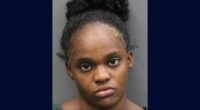 Mom livestreams before trying to kill herself and 3 kids: DA