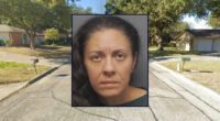 Mom repeatedly stabbed 9-year-old in neck, chest: Police