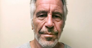 More Epstein documents released: Musk, Thiel, Bannon & Prince Andrew mentioned