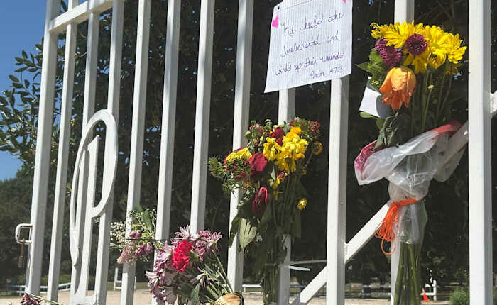 Murder of former Auburn professor at city park shakes community