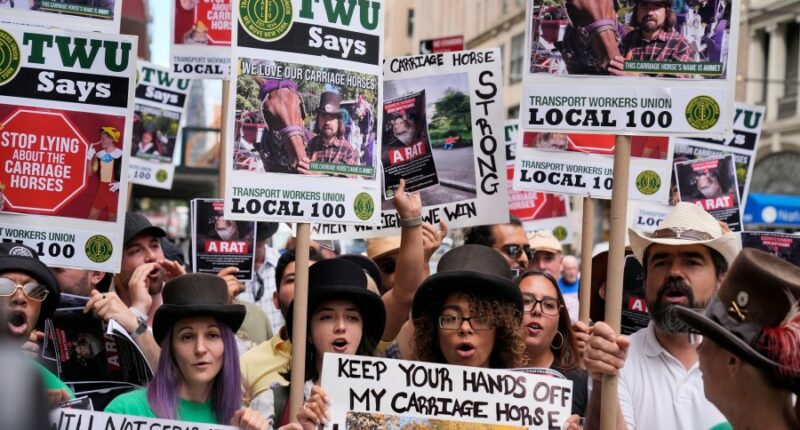 NYC mayor throws support behind bill to ban Central Park horse carriages