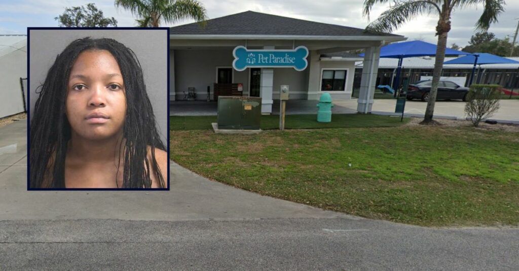 Napping mom's kids, ages 4 and 5, slipped out of home: Cops