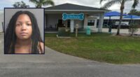 Napping mom's kids, ages 4 and 5, slipped out of home: Cops