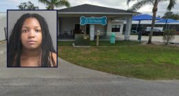 Napping mom's kids, ages 4 and 5, slipped out of home: Cops