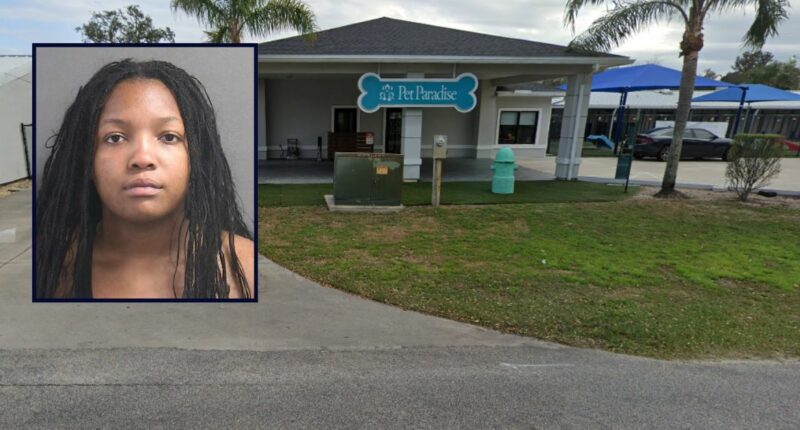 Napping mom's kids, ages 4 and 5, slipped out of home: Cops
