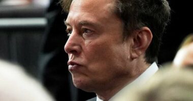 Elon Musk said a daily schedule of Jeffrey Epstein that referenced him was "false".