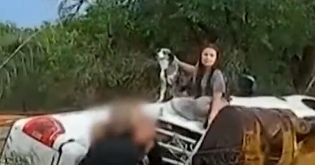 New Mexico police rescue family from flash flood