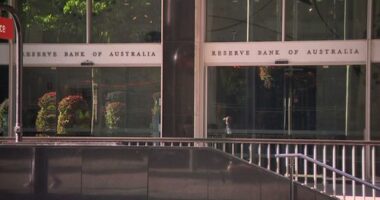 Small business owners react to RBA decision