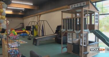 New indoor play space and consignment shop 'The Treehouse' opens in Champaign