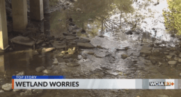 New study shows 72% of Illinois wetlands not federally protected