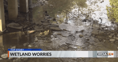 New study shows 72% of Illinois wetlands not federally protected