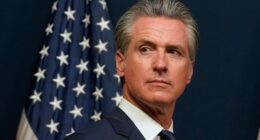 Newsom signs first-in-the-nation AI safety disclosures law