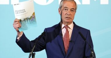 No benefits for foreigners under Reform, says Nigel Farage: Stricter visa tests, language tests and deportation for those who fail under crackdown on 'settled status' migrants