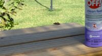 photo of bug