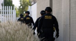 Oregon officials warn against taking 'bait' as Trump pushes into Portland