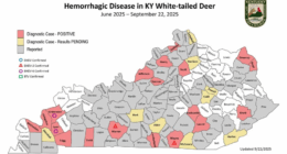 Over 1K Kentucky deer dead, sick due to contagious disease outbreak