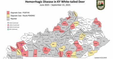 Over 1K Kentucky deer dead, sick due to contagious disease outbreak
