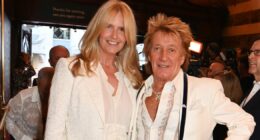 Penny Lancaster shares heartbreaking Rod Stewart cancer update