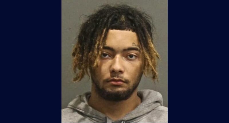 Pregnant girlfriend attacked, almost stabbed in stomach: DA