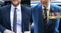 Prince Harry Pushes Back on Rumors About His Reunion With King Charles