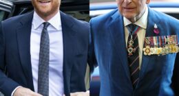Prince Harry Pushes Back on Rumors About His Reunion With King Charles