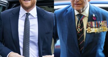 Prince Harry Pushes Back on Rumors About His Reunion With King Charles