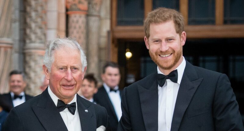 Prince Harry Speaks Out on Father-Son Reunion With King Charles III