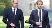 Prince Harry and Prince William to reconcile 'in the not-too-distant future'