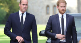 Prince Harry and Prince William to reconcile 'in the not-too-distant future'